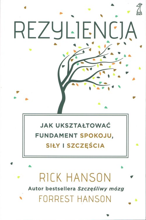 książka Hanson Rick Hanson Forrest Rezyliencja. Jak ukształtować fundament spokoju, siły i szczęścia